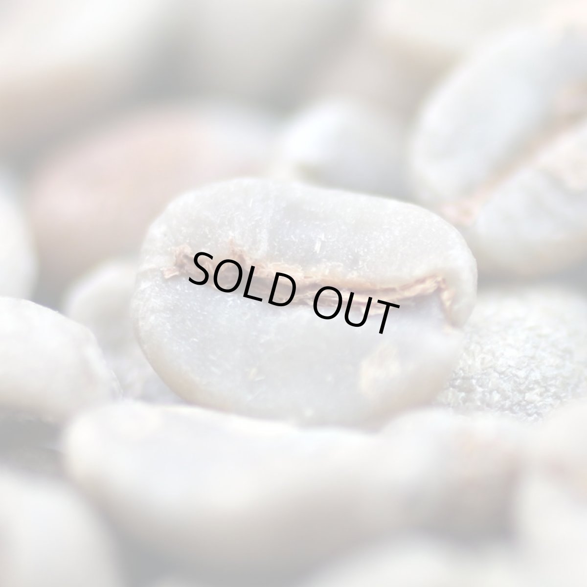 画像4: コーヒー生豆【１００ｇ】ブラジル　モンテアレグレ農園 (4)