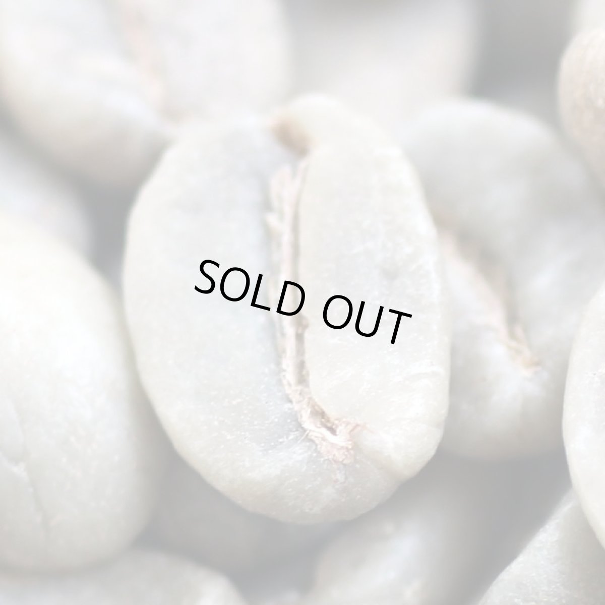 画像5: コーヒー生豆【１ｋｇ】コロンビアウィラスプレモ (5)