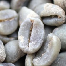 画像4: コーヒー生豆　グァテマラＳＨＢアカティナンゴ　1kg (4)