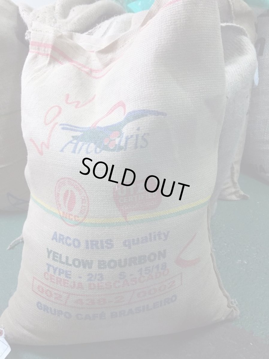 画像6: コーヒー生豆【１ｋｇ】ブラジルブルボンアマレロ (6)