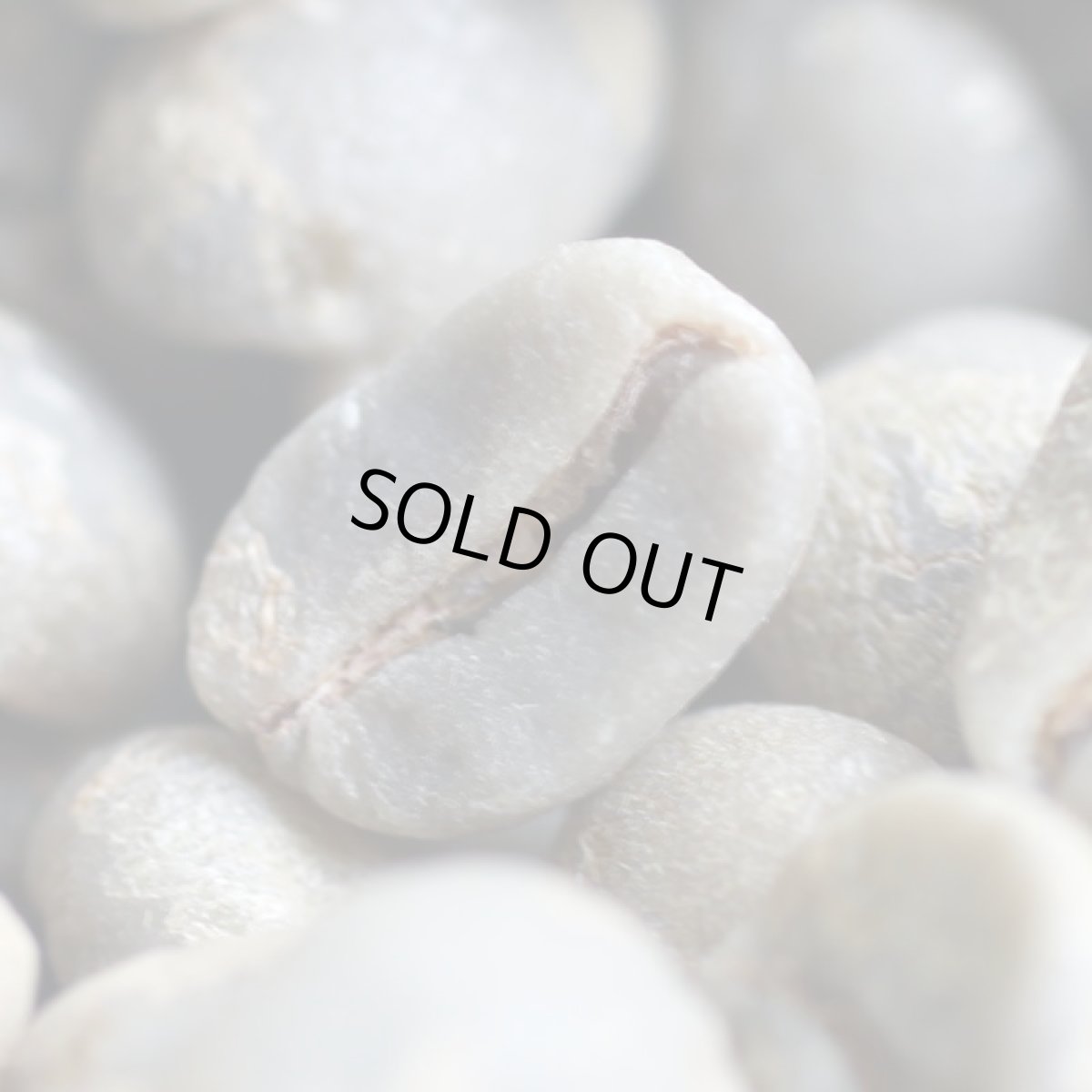 画像5: コーヒー生豆【１ｋｇ】ブラジルブルボンアマレロ (5)