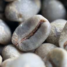 画像5: コーヒー生豆【１ｋｇ】ブラジルブルボンアマレロ (5)