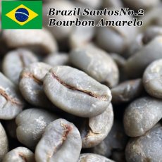 画像1: コーヒー生豆【１ｋｇ】ブラジルブルボンアマレロ (1)