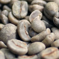 画像2: コーヒー生豆【１ｋｇ】ブラジルブルボンアマレロ (2)
