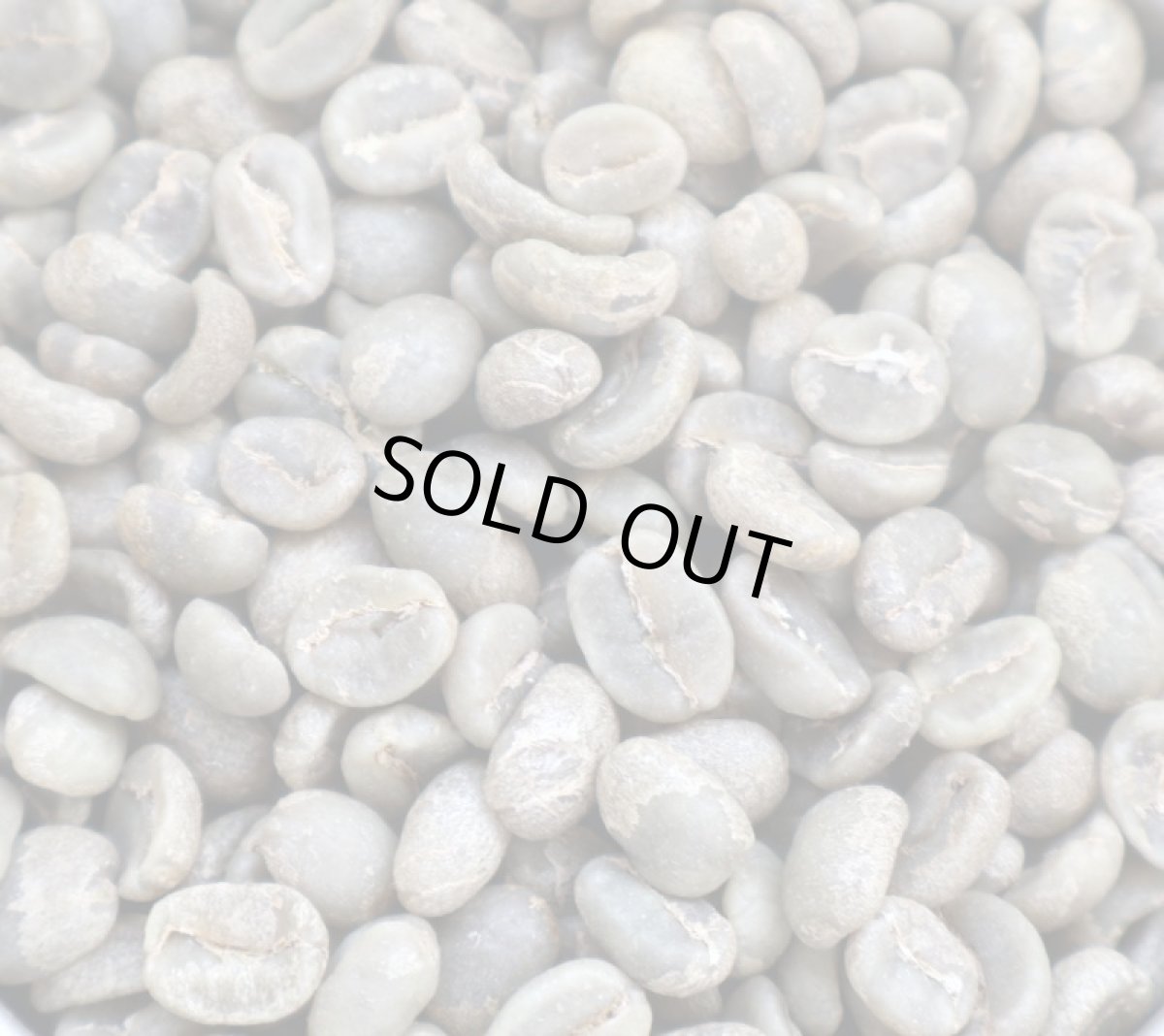 画像5: コーヒー生豆【１ｋｇ】グァテマラＳＨＢアンティグァレタナ (5)