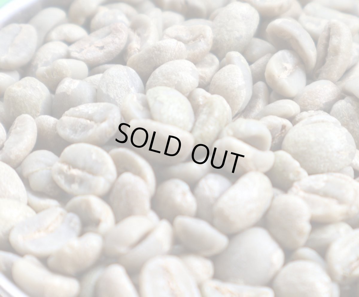 画像4: コーヒー生豆【１ｋｇ】ブラジルブルボンアマレロ (4)