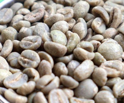 画像1: コーヒー生豆【１ｋｇ】ブラジルブルボンアマレロ