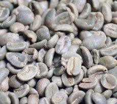 画像5: コーヒー生豆【１ｋｇ】コロンビア TOLIMA Sup (5)