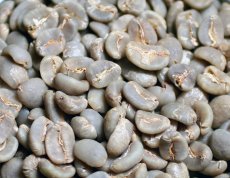 画像6: コーヒー生豆【１ｋｇ】マンデリンリントン／スペシャルティ (6)