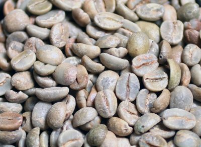 画像3: コーヒー生豆【１ｋｇ】ブラジルサントスＮｏ．２＃１７／１８　スタンダードグレード