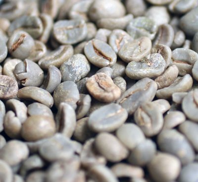 画像2: コーヒー生豆【１ｋｇ】ブラジル セラード 　ナチュラル