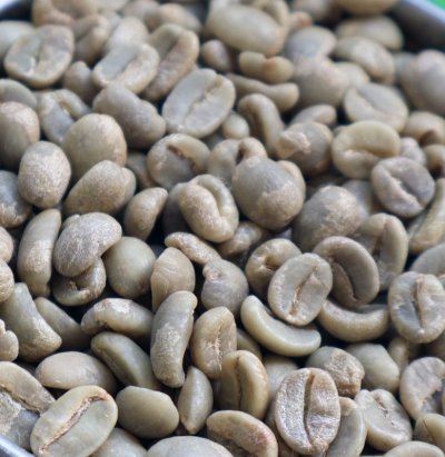 画像1: コーヒー生豆【１ｋｇ】ブルンジフリーウォシュド