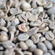 画像7: コーヒー生豆【１ｋｇ】ブラジル セラード 　ナチュラル (7)