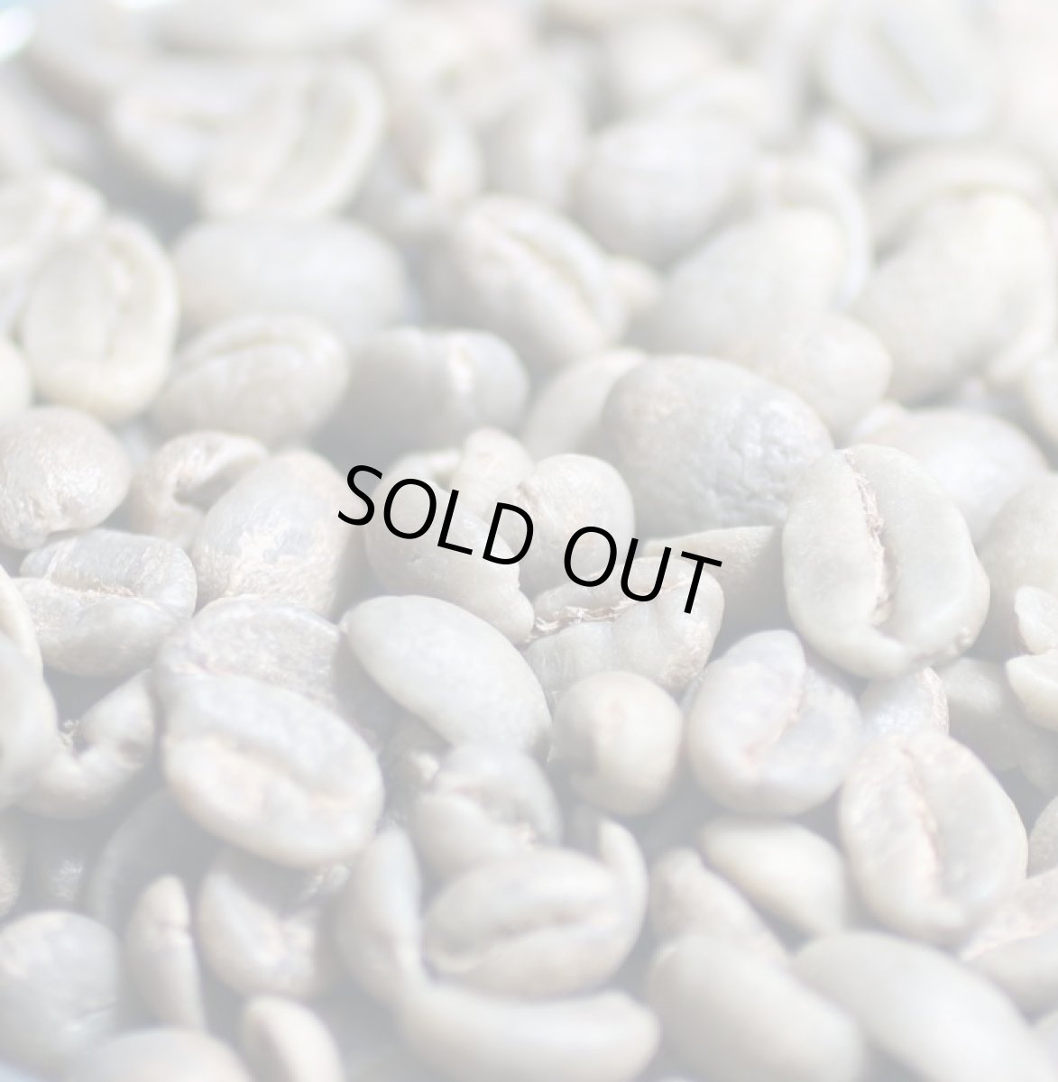 画像7: コーヒー生豆【１ｋｇ】クラシックウィラ／コロンビアエクセルソ (7)