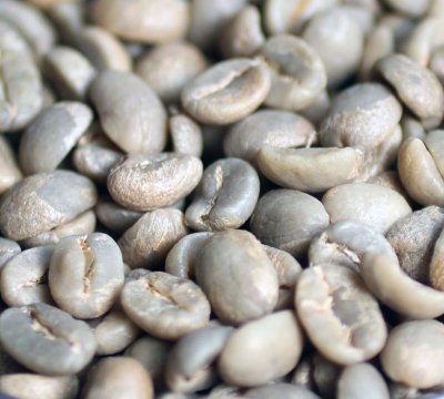 画像2: コーヒー生豆　タンザニアＫＩＢＯ 　ＡＡ【１ｋｇ】キリマンジャロ
