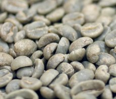 画像1: コーヒー生豆　ルワンダ　ブルボン【１ｋｇ】 (1)