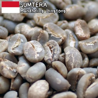 コーヒー生豆 モカ マタリNo.9【1kg】