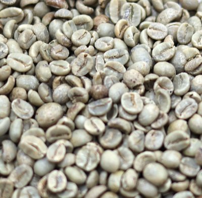 画像1: コーヒー生豆　ベトナムアラビカ【１ｋｇ】　スタンダードグレード
