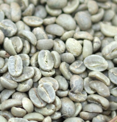 画像1: コーヒー生豆【100g】コロンビアスプレモ【100g】