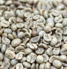 画像1: コーヒー生豆　ベトナムアラビカ【１ｋｇ】　スタンダードグレード (1)