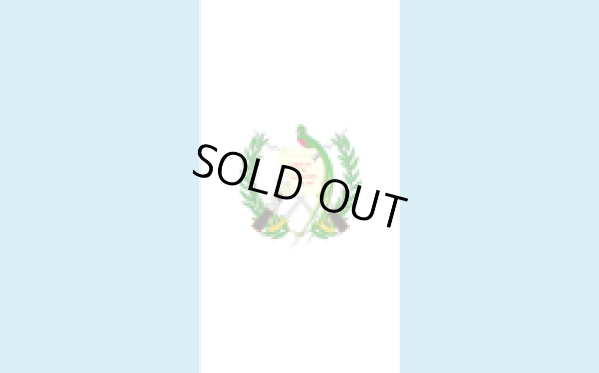 画像5: コーヒー生豆【１ｋｇ】グァテマラアティトゥラン／パンポヒラ農園 (5)