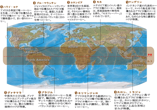 コーヒーの生産地マップ