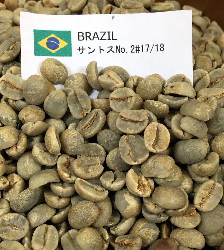 年末のプロモーション コーヒー生豆 ブラジル サントス No.2 S18 10kg materialworldblog.com