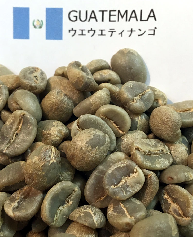 コーヒー生豆【１００ｇ】グァテマラＳＨＢウエウエティナンゴ