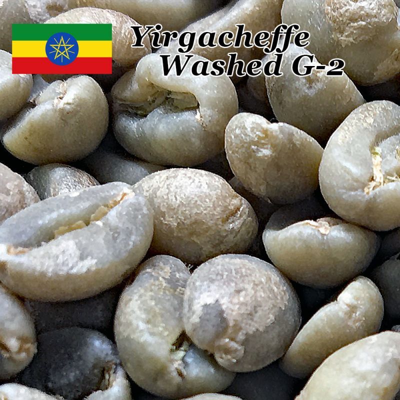 コーヒー 生豆 エチオピア イルガチェフェ G2 [10kg] - esupport.vn