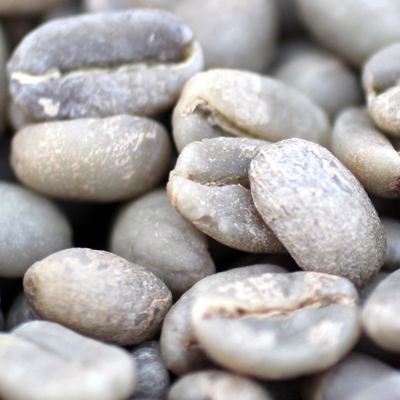 画像1: コーヒー生豆【１０ｋｇ】イルガチャフェＧ２／エチオピア　モカコーヒー (1)