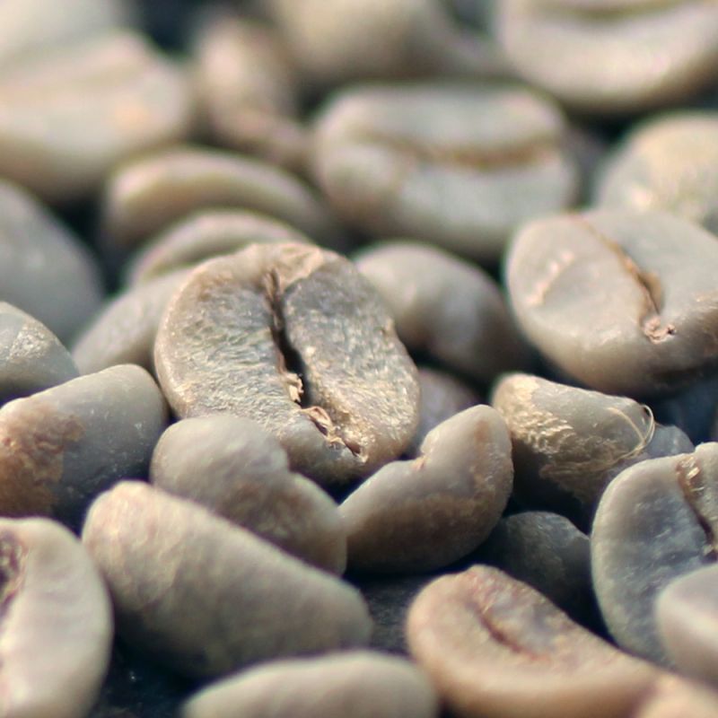 コーヒー生豆　ブラジル　アマレロブルボンPN　10kg