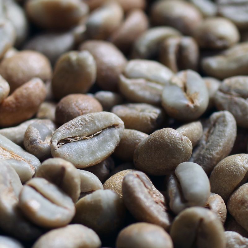画像1: コーヒー生豆【１ｋｇ】イルガチャフェナチュラル/エチオピア (1)