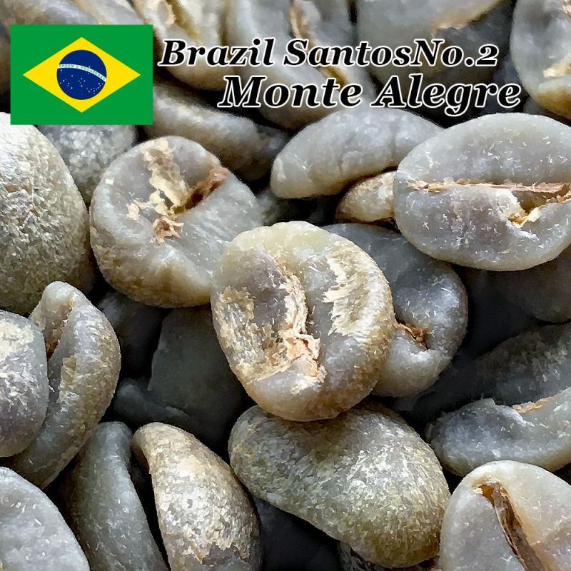 コーヒー生豆【１００ｇ】ブラジル　モンテアレグレ農園