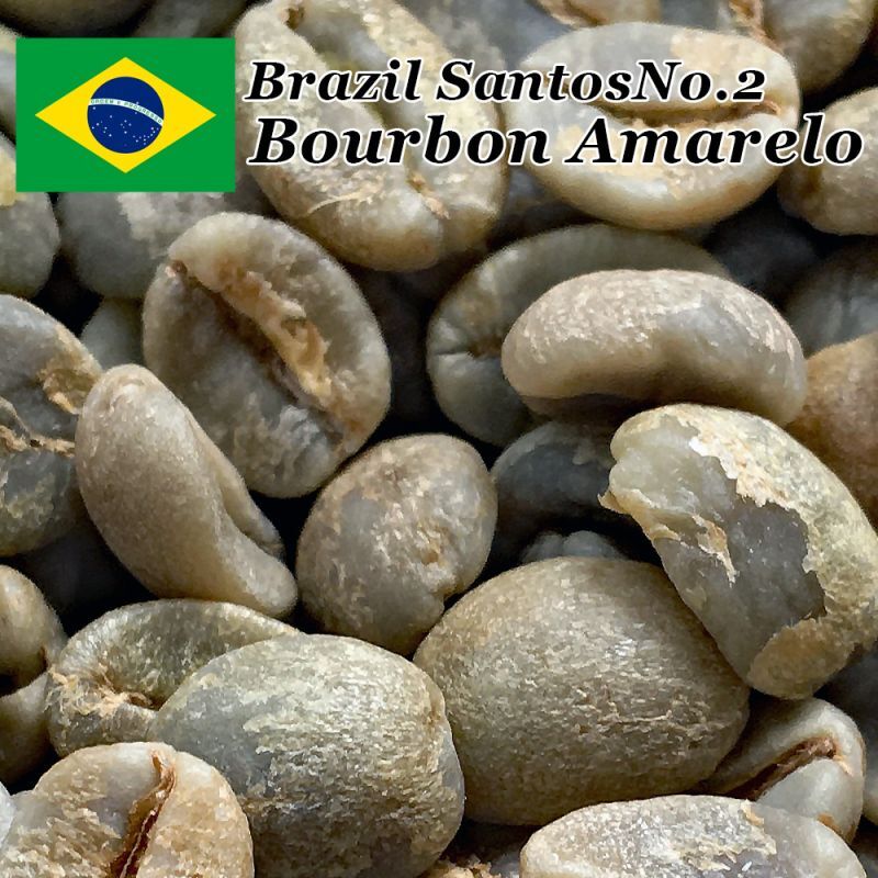 コーヒー生豆　ブラジル　アマレロブルボンPN　　100g